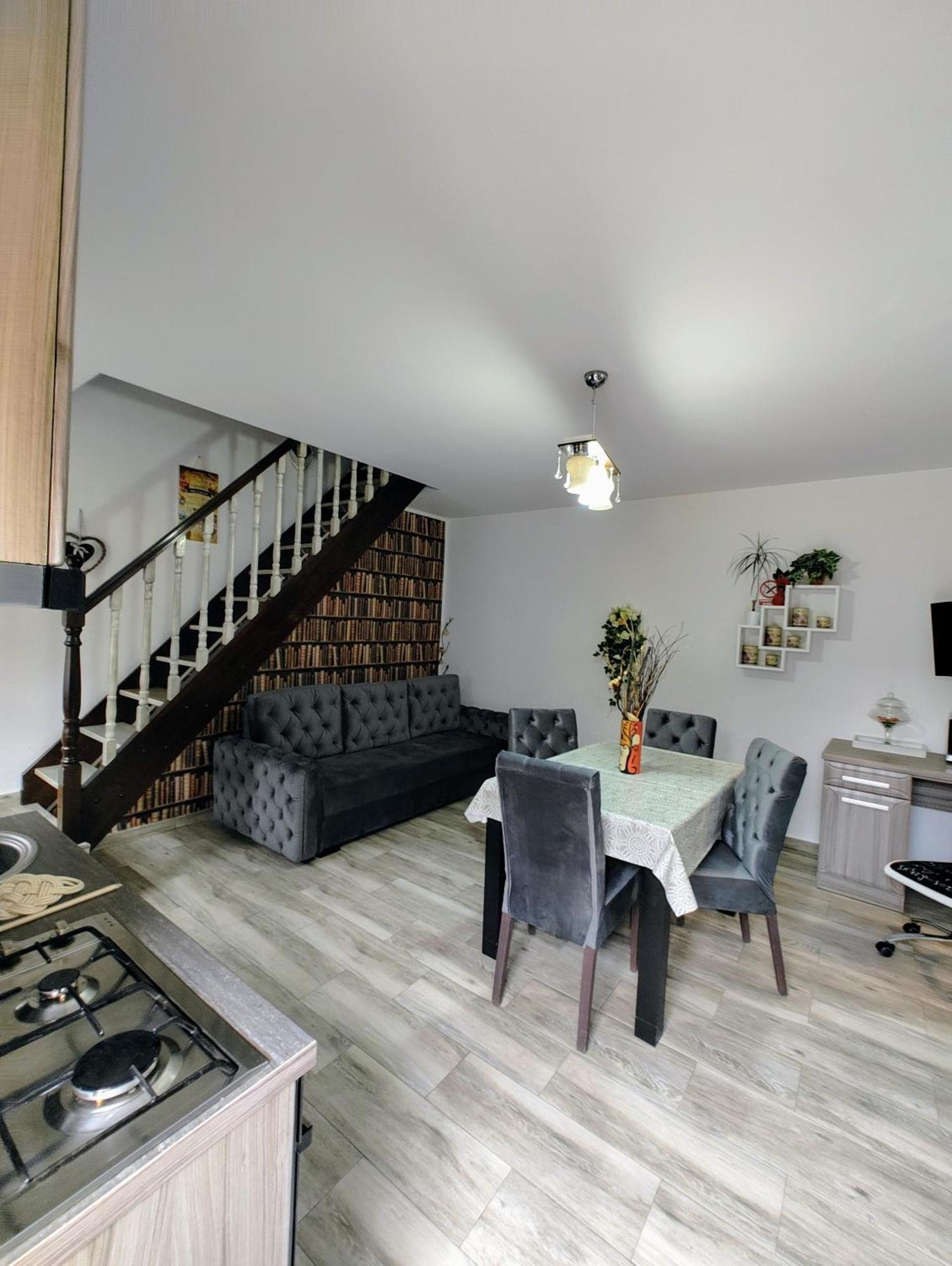 House Apartment Minerilor Κλουζ-Ναπόκα Εξωτερικό φωτογραφία