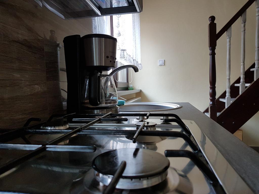 House Apartment Minerilor Κλουζ-Ναπόκα Εξωτερικό φωτογραφία