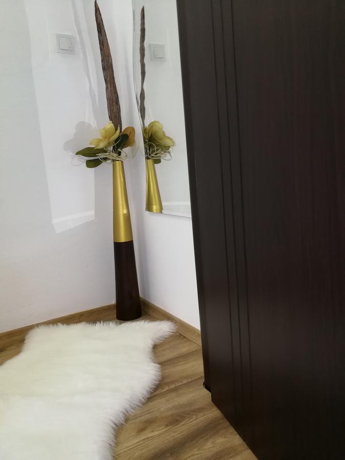 House Apartment Minerilor Κλουζ-Ναπόκα Εξωτερικό φωτογραφία