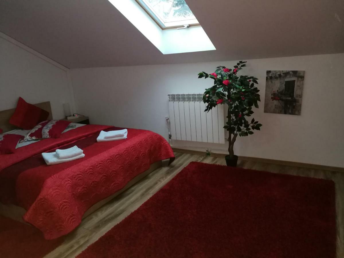House Apartment Minerilor Κλουζ-Ναπόκα Εξωτερικό φωτογραφία